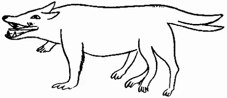 An animal with a long muzzle, a split tail and six legs is drawn in profile.